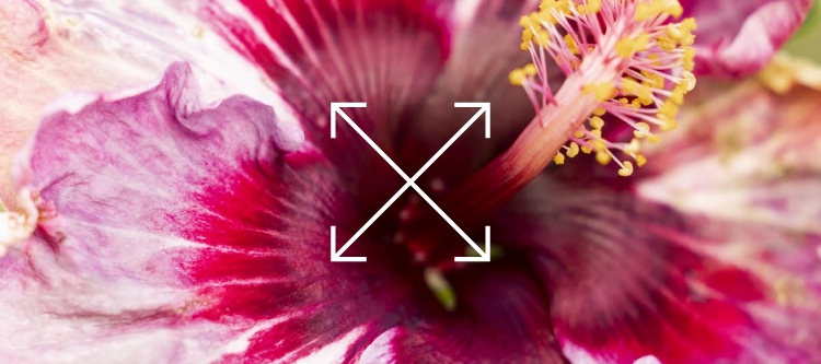 Hibiline Flutter Two Piece Bikini Set For Girls 2 7 Roxy