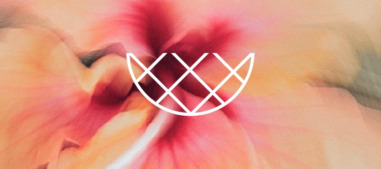 Hibiline Flutter Two Piece Bikini Set For Girls Roxy